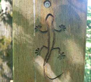 Der Rundweg-Wegweiser 