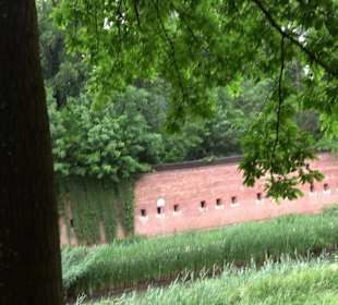 Baumlehrpfad Glacis Park
