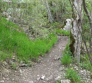 Eiszeitpfad - Burgfelsenpfad