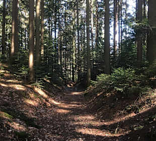 Sport & Freizeit