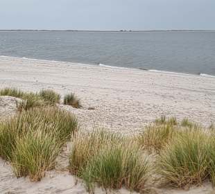 Ganz im Hintergrund der Ellbogen