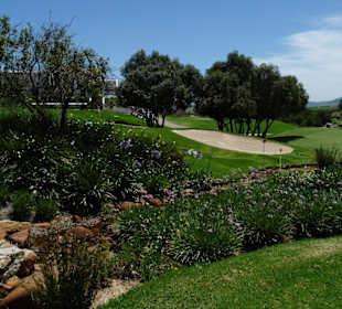 De Zalze Golf Resort