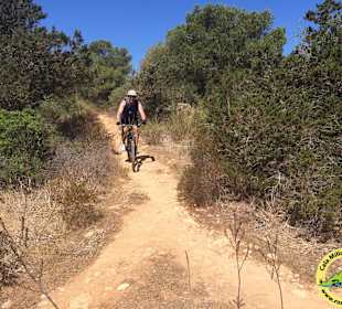 Trail