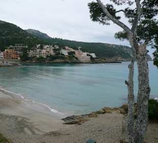 Der Strand von St. Elm