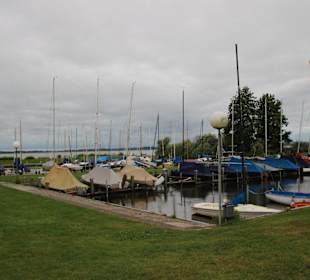 Blick über den Dümmer