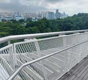 Henderson Waves Bridge 