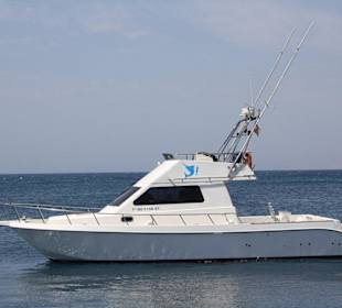 Cata 12 m, max 10 pax. Built 2001