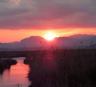 Sonnenuntergang - Naturpark S' Albufera