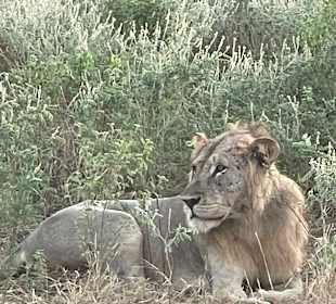 Shimba Hills National Reserve