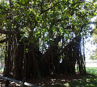 Stadtrundgang Sydney