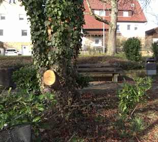 Kleiner Park Pfrondorf