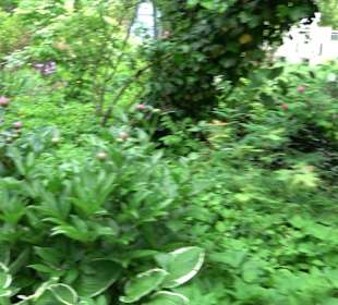 Mezger's Bürgle Park