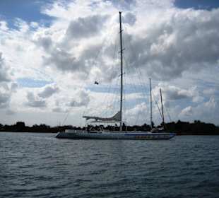 Im Hafen von Bayahibe