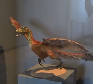 Jura-Museum