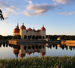 Schloss Moritzburg 