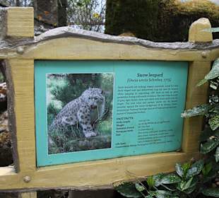 Padmaja Naidu Himalayan Darjeeling Zoo