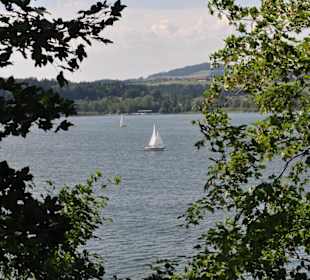 Salcbursko