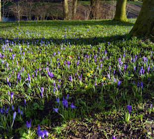 Der Schlosspark im März.