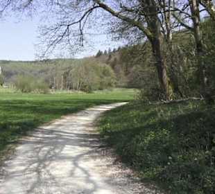 Waldlehrpfad an der Lauter