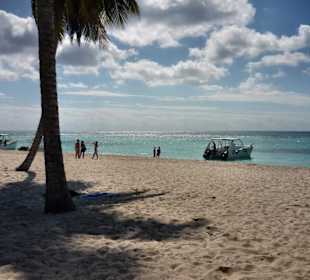 Fast der ganze Strand für uns alleine