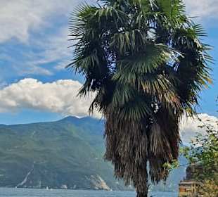 Hat man nur mit dem Fahrrad