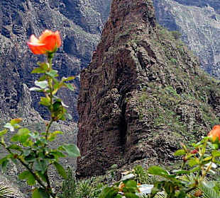 Der markante Felsen von Masca