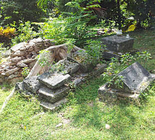 Ausflug mit Mario von Edelweiss Tours