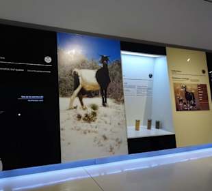 In den Räumen des Museo del Queso Majorero