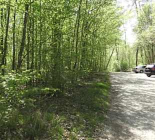 Wanderweg Hochgehwachsen