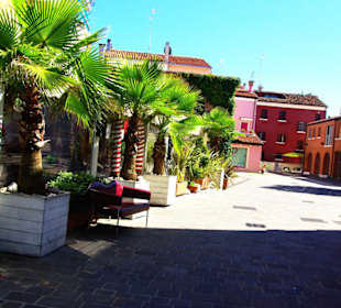 Etwas Palmen