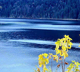 Tiefblaues Wasser bei schrägem Lichteinfall