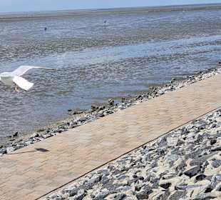 Strand Büsum