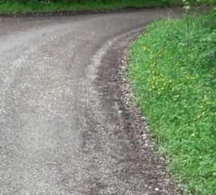 Naturpark Schönbuch