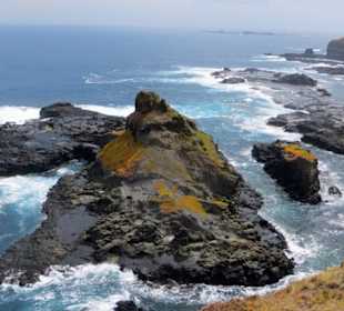 Westküste - Blow Holes bei The Nobbies