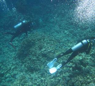 Schnorcheln Soma Bay