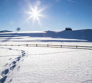 Wandern Oberstaufen