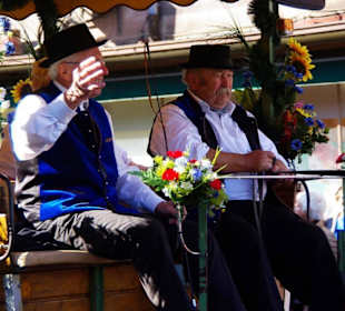 Bierführerverein 1892 Fürth Fußgruppe 2Pferdegesp.