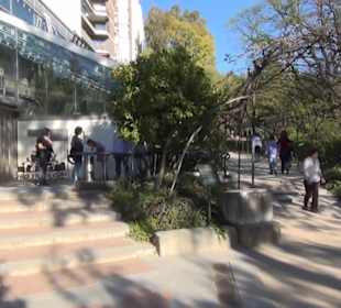 Real Jardín Botánico de Madrid