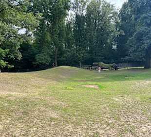 Steinerbos Belevenispark