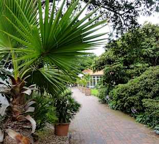 Rundgang durch den Schlossgarten Oldenburg