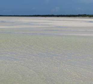 Fußmarsch von ca.1,5 km