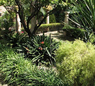 Palma Altstadt Arabische Bäder ca 1000 Jahre alt.