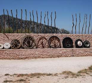 De evolutie van het wiel