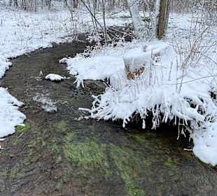 Wandern Bad Sachsa