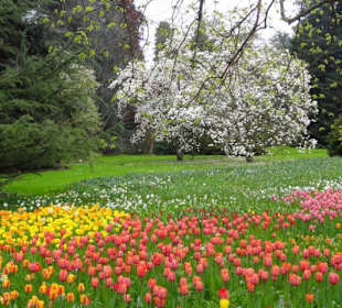 Insel Mainau im Mai