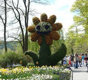 Осторов майнау