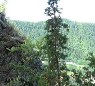 Rötelstein Traifelberg