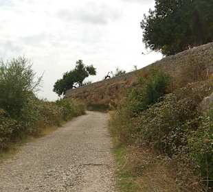 Strada che porta al castello