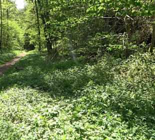 Premiumwanderweg Hochgehschätzt