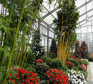 Japanisches Gewächshaus